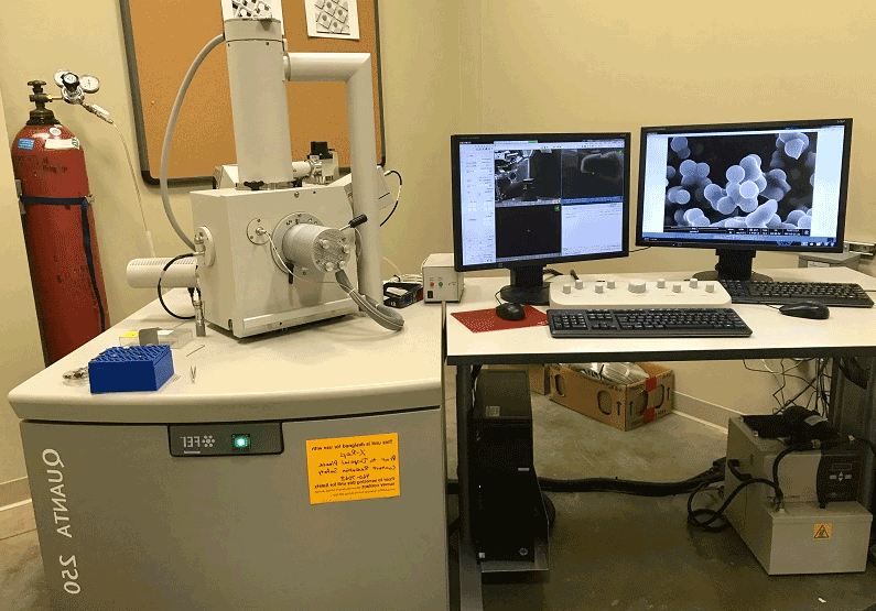 Scanning Electron Microscope